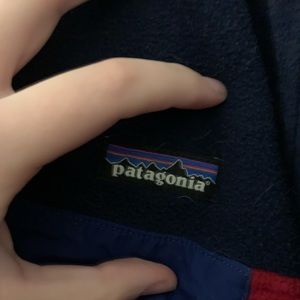 XL Patagonia Men’s Synchilla